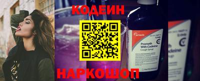 молекула духа Кингисепп