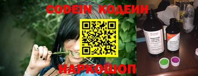 молекула духа Кингисепп