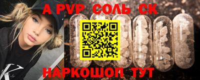 молекула духа Кингисепп