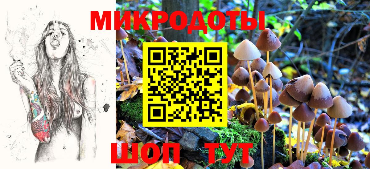 Галлюциногенные грибы Psilocybe  Псилоцибиновые грибы мицелий  Великий Устюг  Вход с VPN 